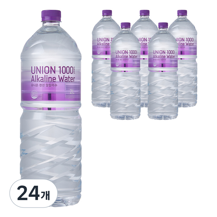 유니온천년알카리수, 2L, 24개