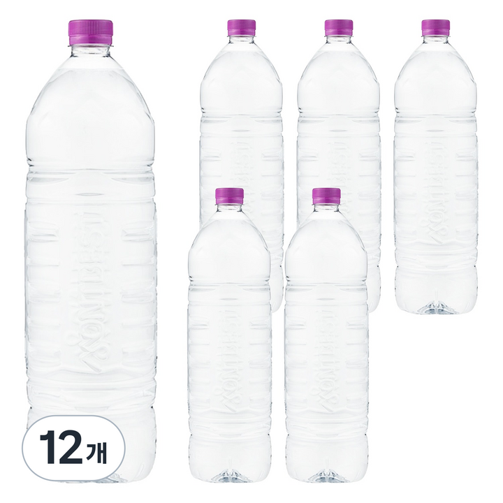 몽베스트 생수, 2L, 12개