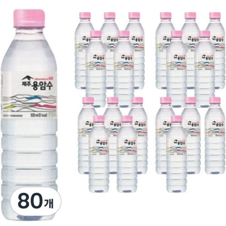 제주용암수, 500ml, 80개
