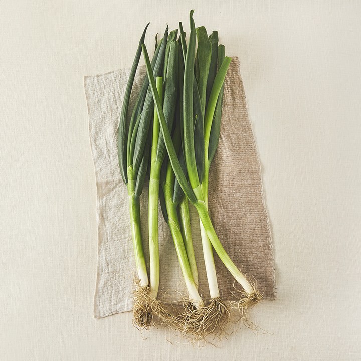 국내산 친환경 대파, 500g, 1개