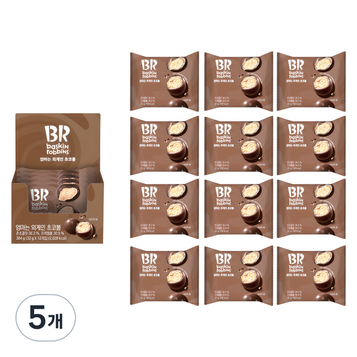 배스킨라빈스 엄마는 외계인 초코볼, 384g, 5개