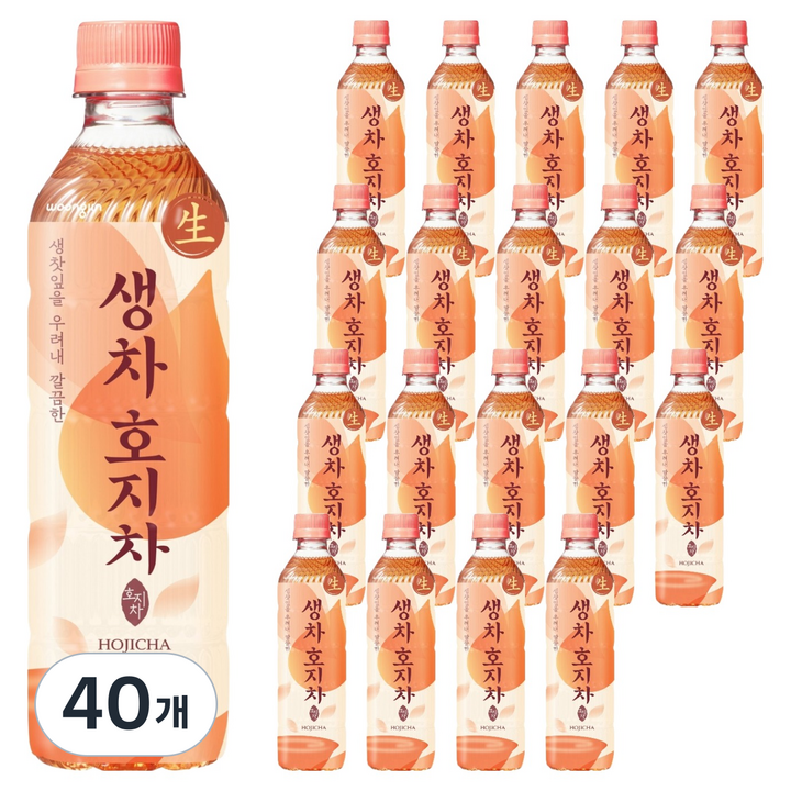 웅진 생차 호지차, 500ml, 40개