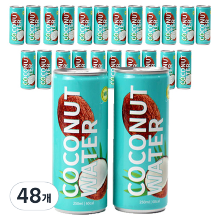 스위트오아시스 코코넛워터, 250ml, 48개