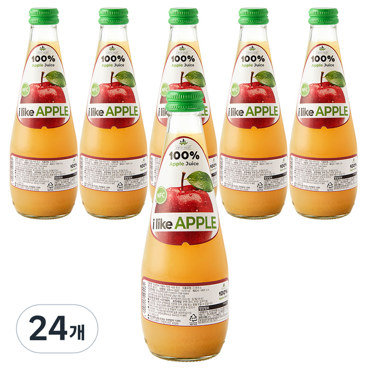 캐슬밸리 100 착즙 사과 주스, 24개, 300ml