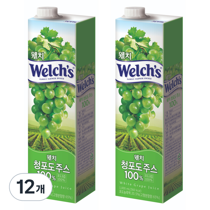 웰치 청포도 주스, 1L, 12개