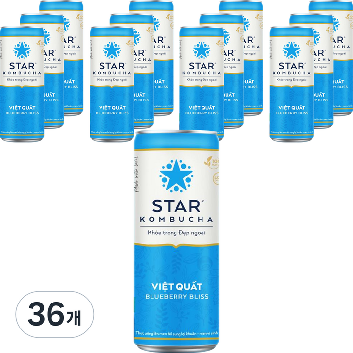 스타콤부차 블루베리 블리스, 36개, 250ml