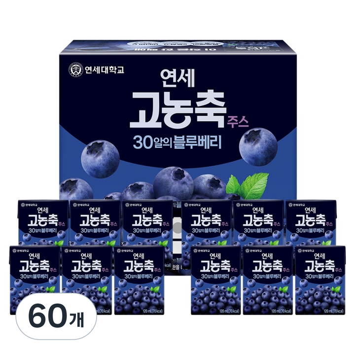연세유업 고농축주스 30알의 블루베리, 60개, 120ml