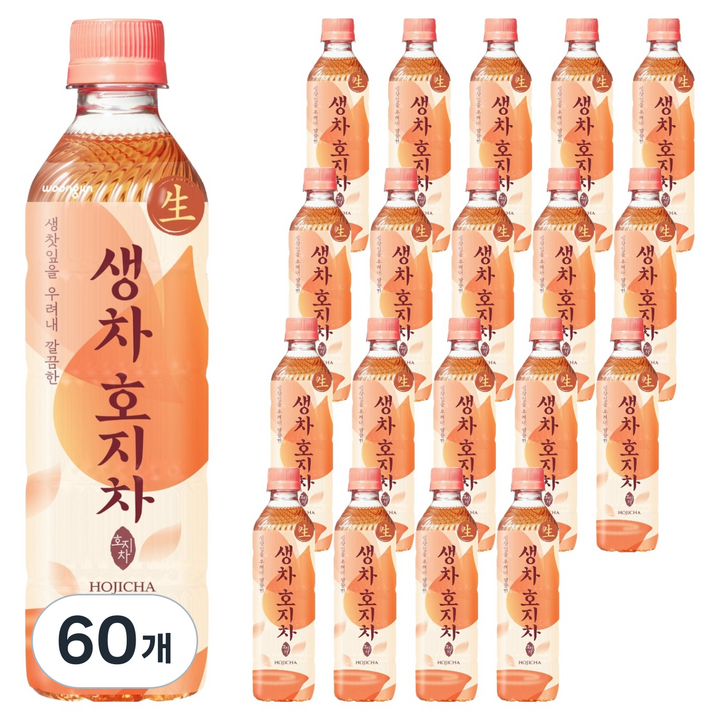 웅진 생차 호지차, 500ml, 60개