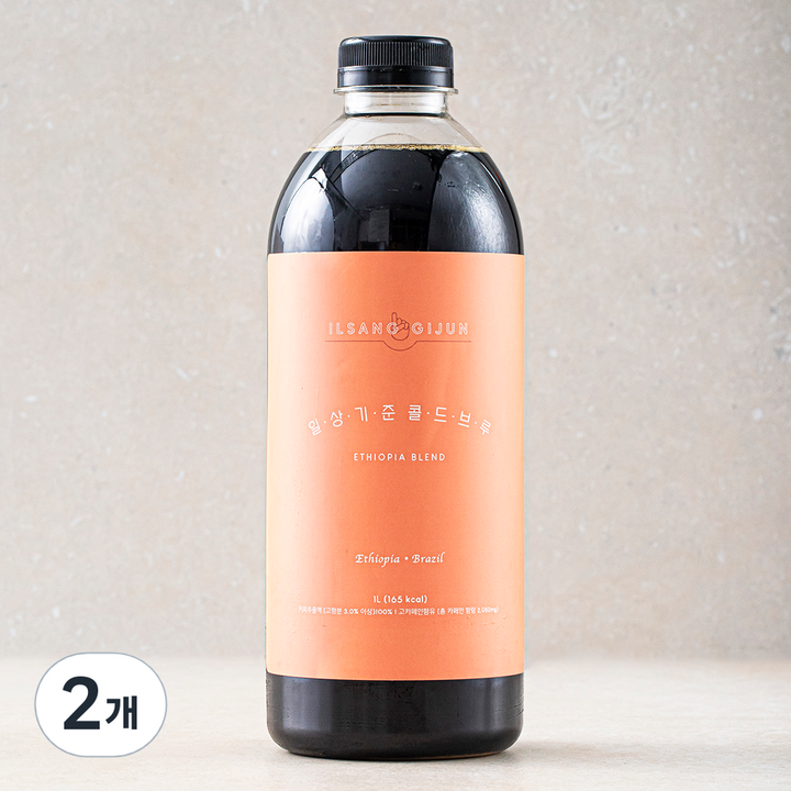 핸디엄 일상기준 콜드브루 에티오피아 블렌드 커피, 1L, 2개