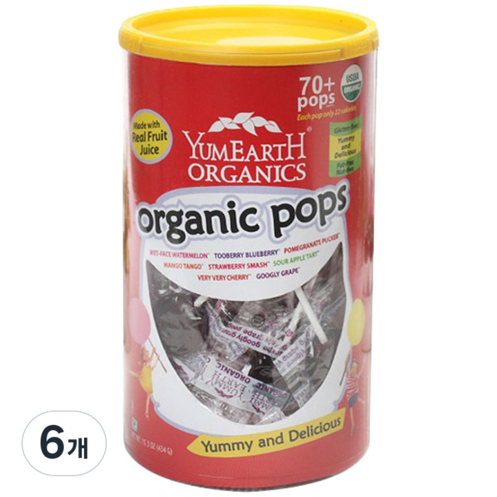야미얼스 유기농 막대사탕, 434g, 6개