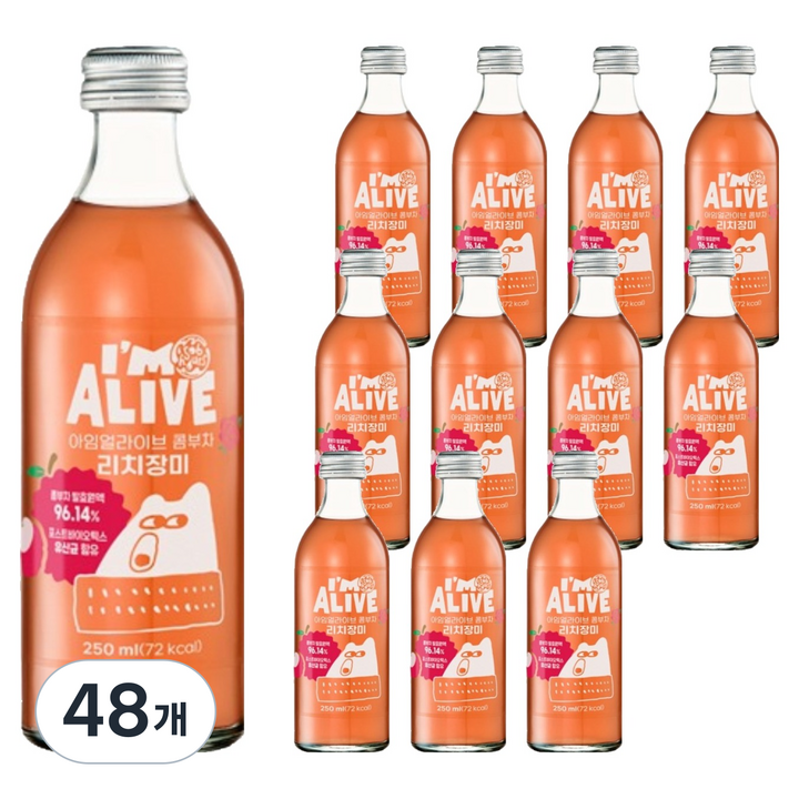 아임얼라이브콤부차 리치장미, 48개, 250ml