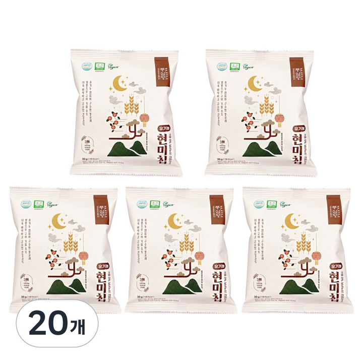 풍심당 유기농 현미칩, 30g, 20개