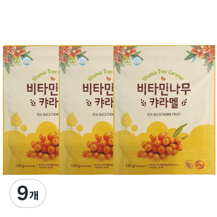 하이투데이 비타민나무 캬라멜, 120g, 9개