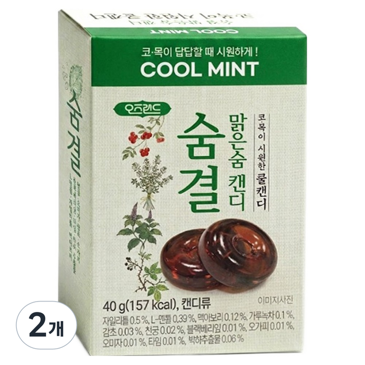 오즈랜드 숨결 맑은숨 캔디 8p, 40g, 2개