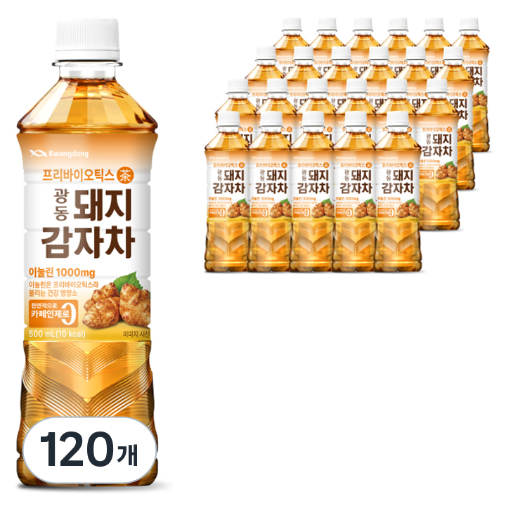 광동제약 돼지감자차, 500ml, 120개
