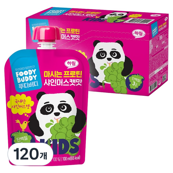 푸디버디 마시는 프로틴 샤인머스캣맛, 120개, 100ml
