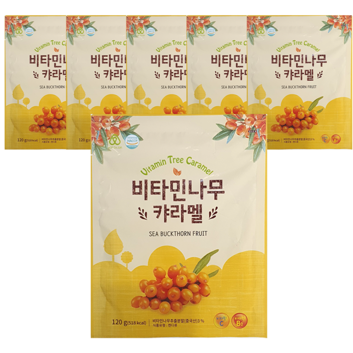 하이투데이 비타민나무 캬라멜, 120g, 6개