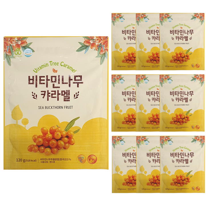 하이투데이 비타민나무 캬라멜, 120g, 10개