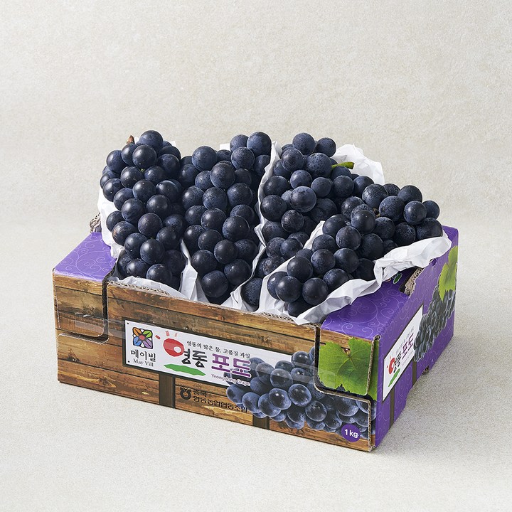 메이빌 영동 캠벨포도 3~4수, 1개, 1kg