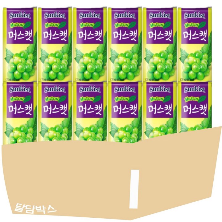 [달담박스]해태 썬키스트 머스캣 175ml 60캔, 60개