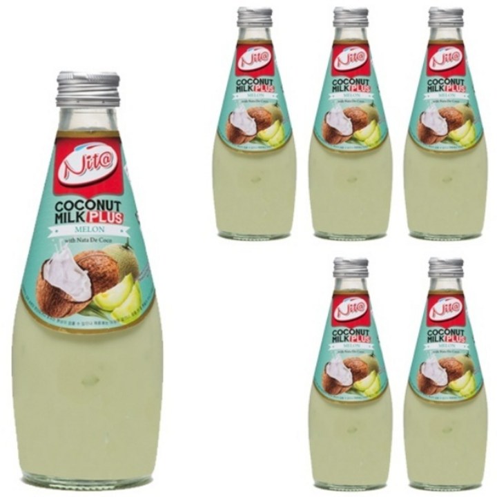 니타 코코넛밀크 플러스 멜론맛, 6개, 290ml