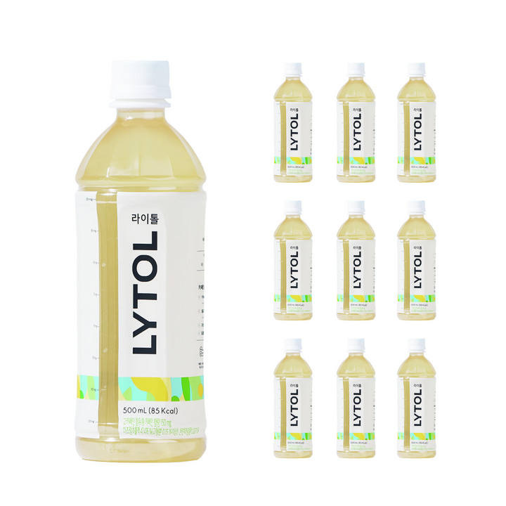 라이톨 500ml 차를 우려 만든 에너지 드링크, 10개