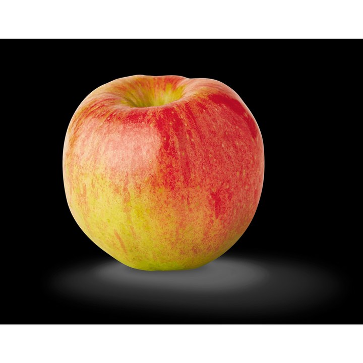 Seth Test 0422 01 long long long long long iphone 16 pro max, 15개입, 600ml