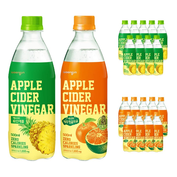 애사비 2종 파인애플 10 + 제주청귤하귤 10, 20개, 500ml