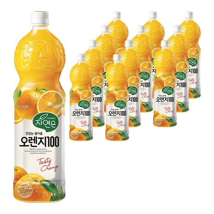 자연은 365일 오렌지 100 주스, 1.5L, 12개