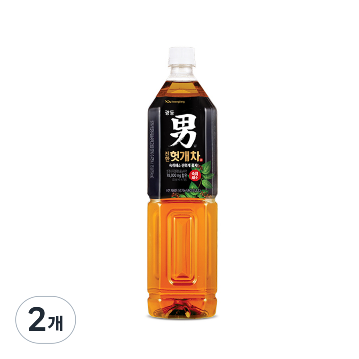 광동 힘찬하루 헛개차, 1.5L, 2개