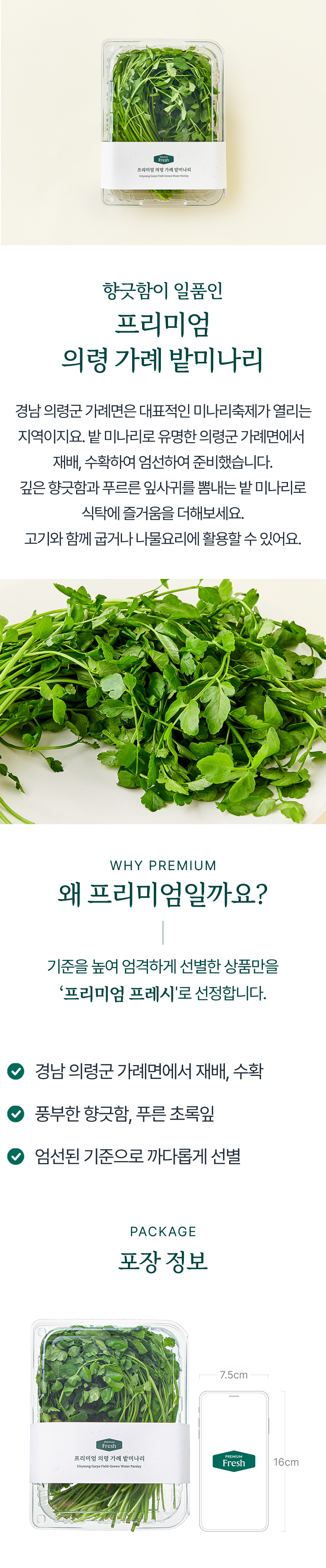 Ryeong Rye Bat Water Dropwort , 1 Pack , 200 g (프리미엄 의령 가례 밭미나리, 1개, 200g)