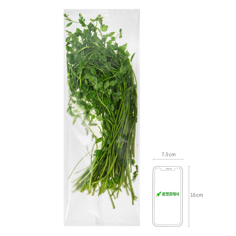 Suncheon Water Dropwort , 200 g, 1 Pack (순천 미나리, 200g, 1개)