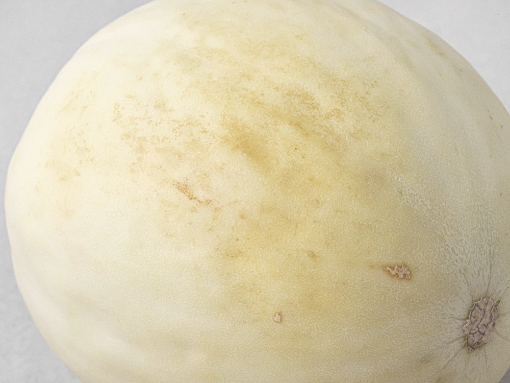 Heonidyu Meron , 1.6 kg, 1 Pack (허니듀 메론, 1.6kg, 1개)