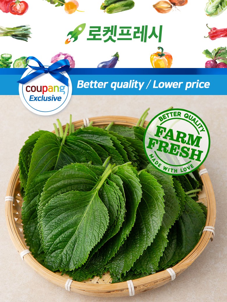 GAP Chubu Perilla Leaves , 100 g, 1 Pack (GAP 추부 깻잎, 100g, 1팩)