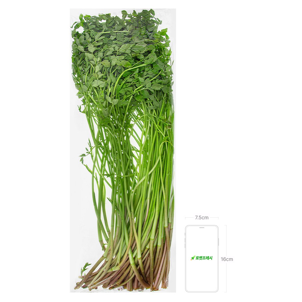 Cheongdo Water Dropwort , 500 g, 1 Bag (청도 미나리, 500g, 1봉)
