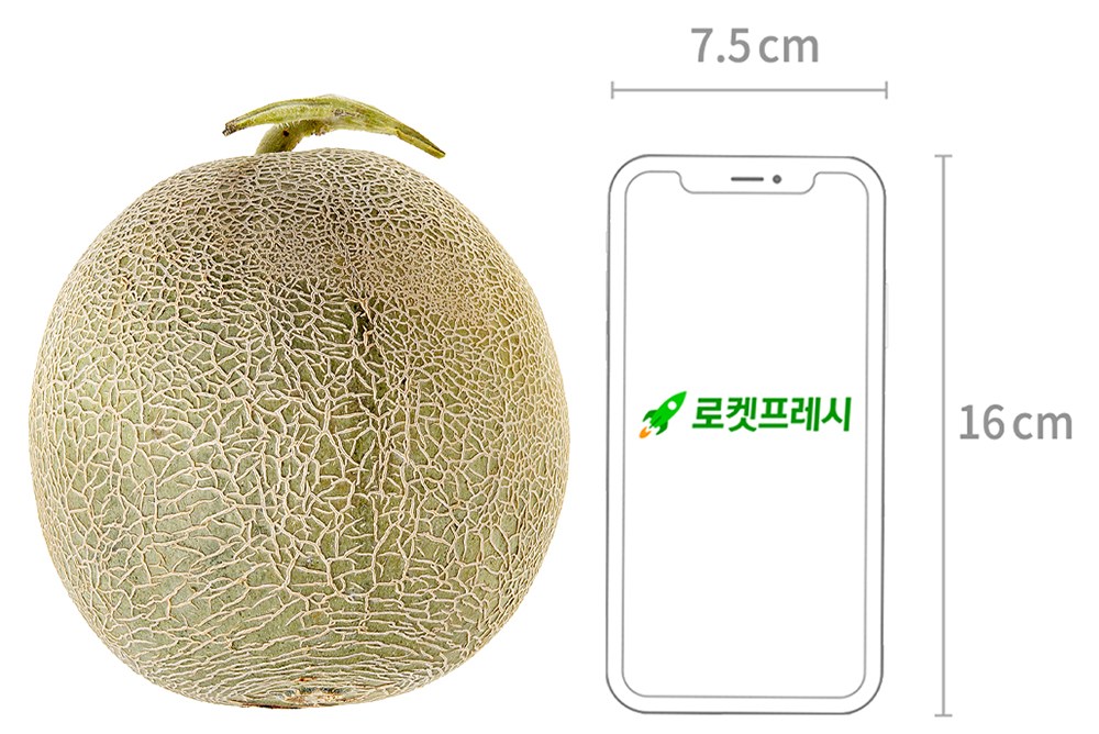 GuamPick Musk Melon , 1 kg, 1 Pack (곰곰 머스크 멜론, 1kg, 1개)
