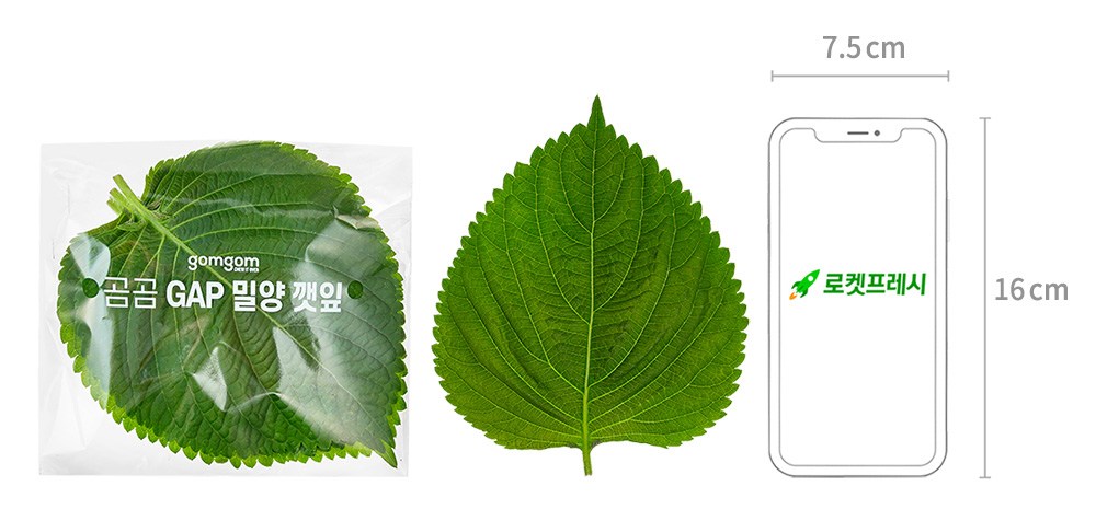 GAP Injeung Miryang Perilla Leaves (GAP인증 밀양 깻잎)