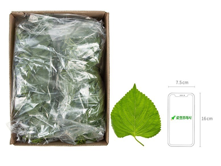 Perilla Leaves Domestic , 1 kg, 1 Pack (깻잎 국내산, 1kg, 1개)