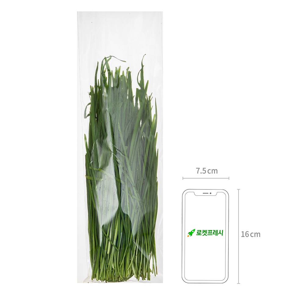Domestic GAP Korean Chive , 250 g, 1 Pack (국내산 GAP 부추, 250g, 1개)