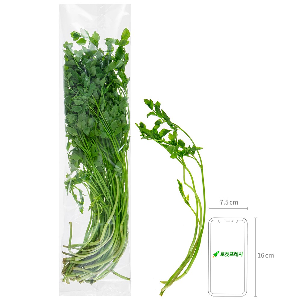 Eco-friendly Jae Water Dropwort , 200 g, 1 Bag (친환경 한재 미나리, 200g, 1봉)