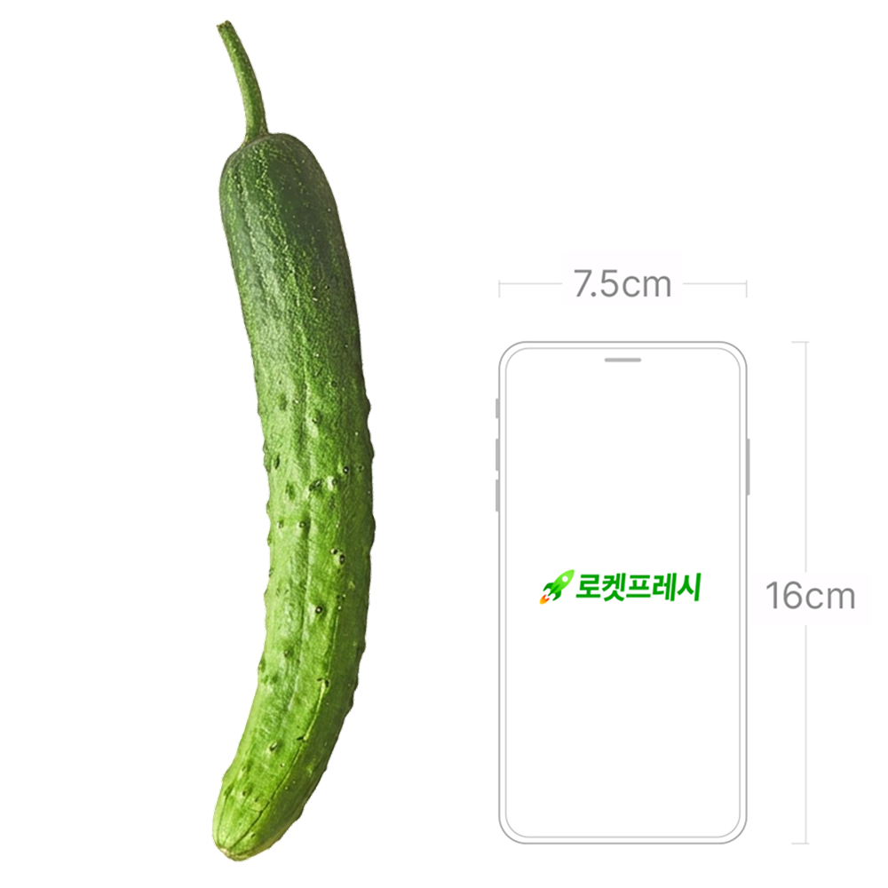 Organic Cucumber 2 Pack Pack , 1 Pack (유기농 오이 2개입, 1팩)