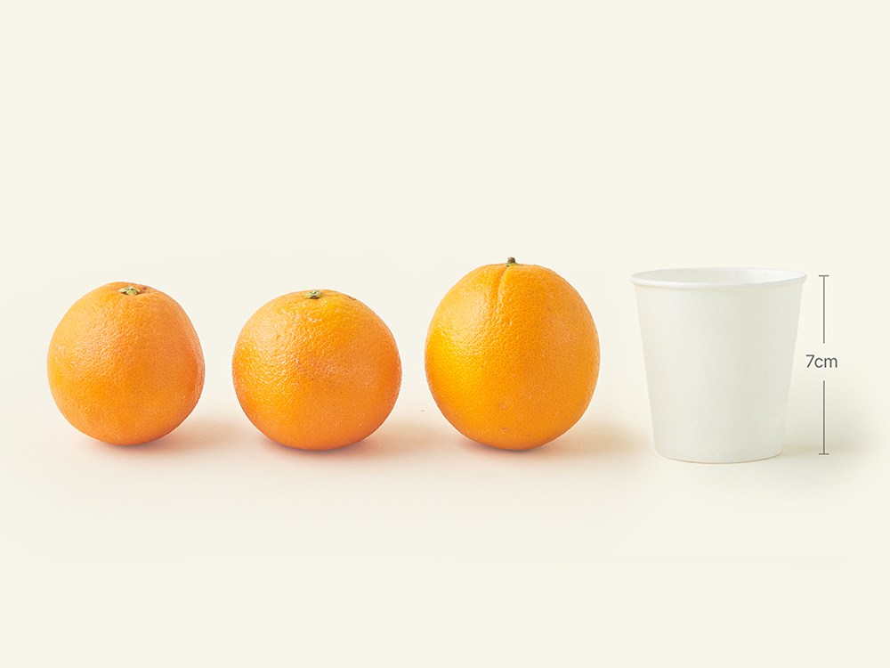 상품 상세 이미지 5