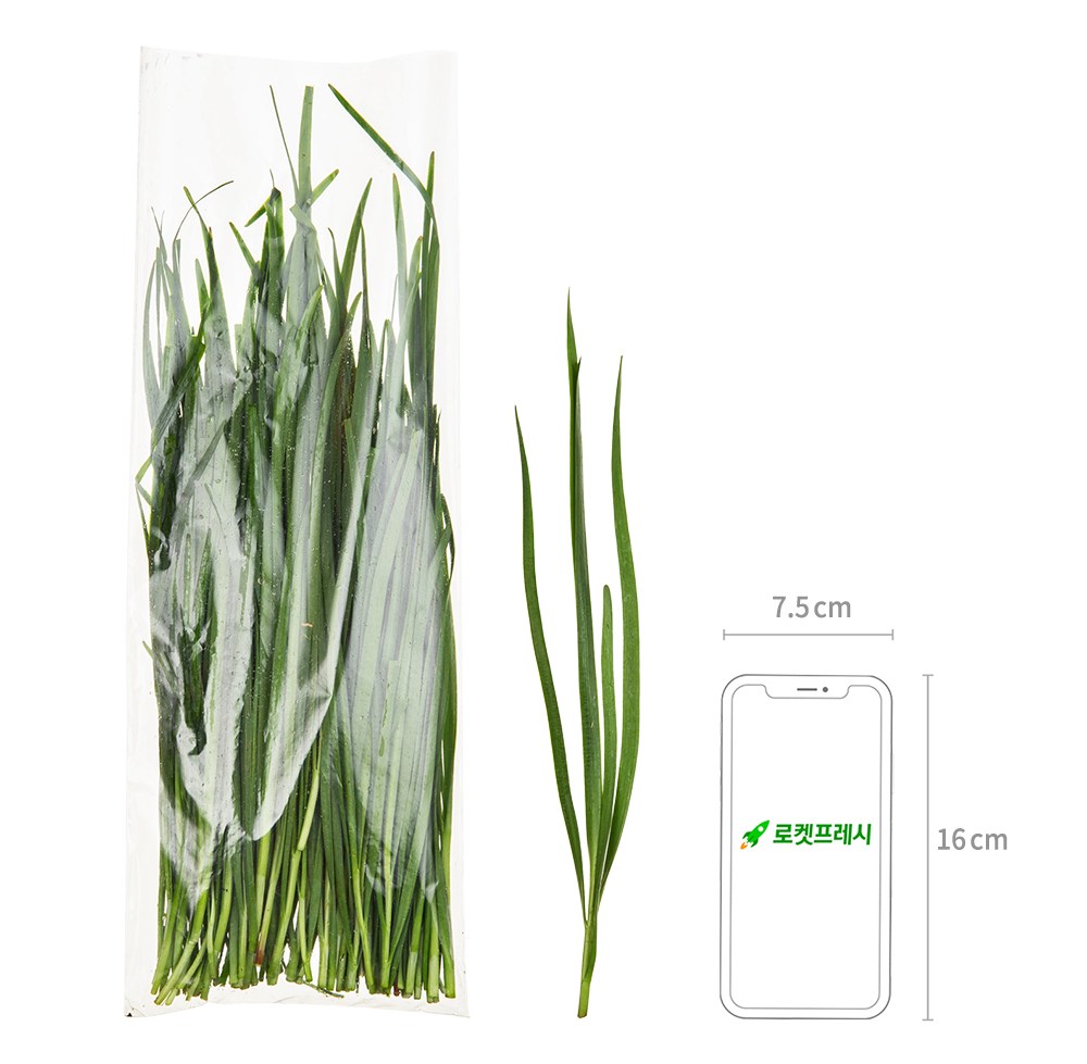 Domestic Organic Korean Chive , 200 g, 1 Pack (국내산 유기농 부추, 200g, 1개)