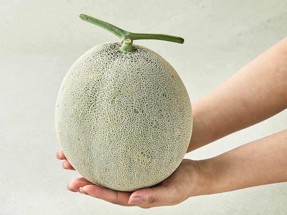 Nonghyup Yumyeongsanji Melon , 1 Pack , 2 kg Sang (농협 유명산지 멜론, 1입, 2kg 이상)