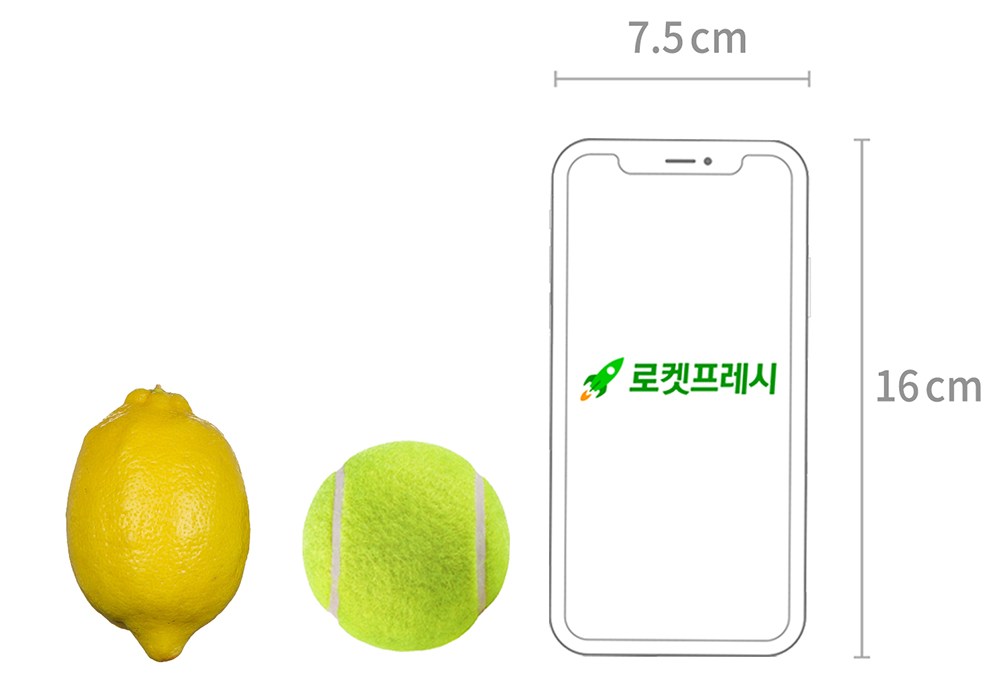 GuamPick American Lemon , 350 g, 1 Pack (곰곰 미국산 레몬, 350g, 1개)