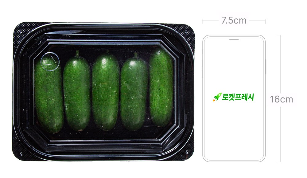 Eco-friendly Mini Cucumber , 5 Pack , 1 Pack (친환경 미니오이, 5입, 1개)