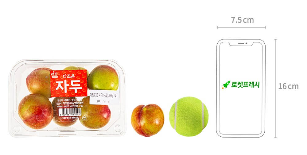 Dajoeun Gimcheon Plum (4~6 Pack ), 300 g, 1 Pack (다조은 김천 자두(4~6입), 300g, 1팩)