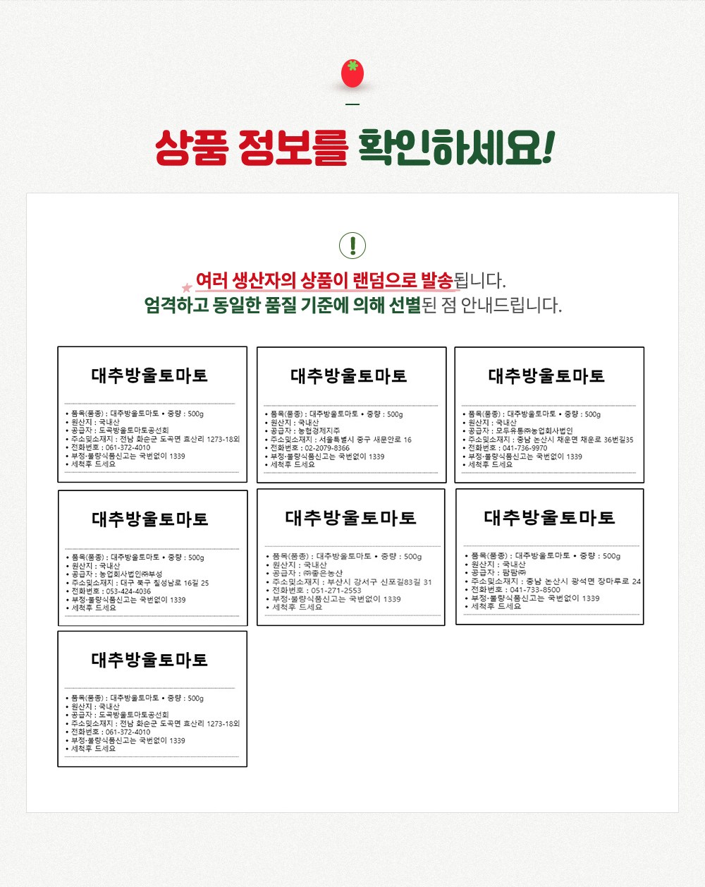 Daechu Cherry Tomato , 500 g, 1 Pack (대추방울토마토, 500g, 1개)