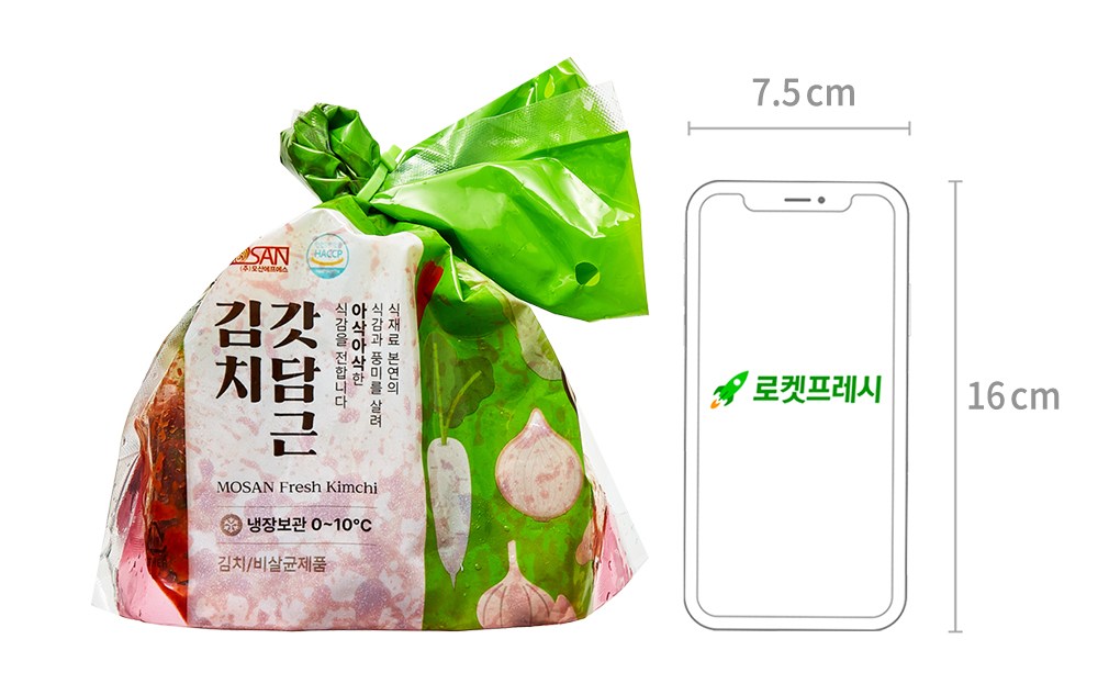 Mosan Kimchi Gatdamgeun Pa Kimchi , 500 g, 1 Pack (모산김치 갓담근 파김치, 500g, 1개)
