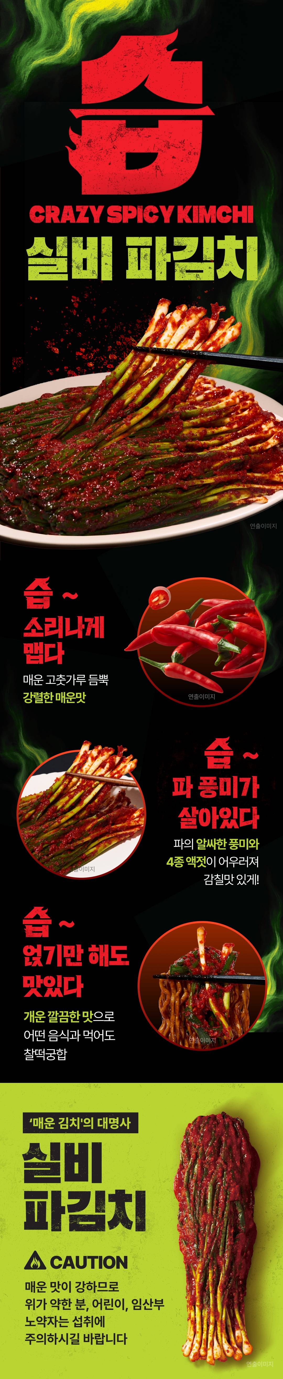 CJ CheilJedang Seup Silbi Pa Kimchi , 500 g, 1 Pack (CJ제일제당 습 실비 파김치, 500g, 1개)